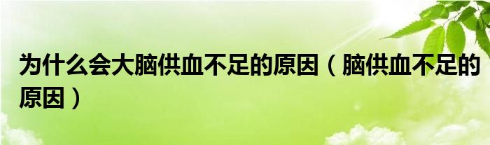 為什么會(huì)大腦供血不足的原因（腦供血不足的原因）