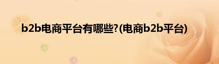 b2b電商平臺有哪些?(電商b2b平臺)