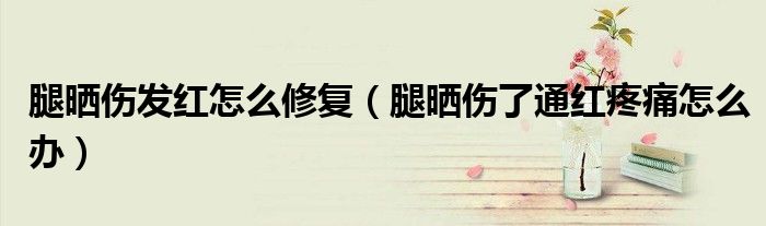 腿曬傷發(fā)紅怎么修復(fù)（腿曬傷了通紅疼痛怎么辦）