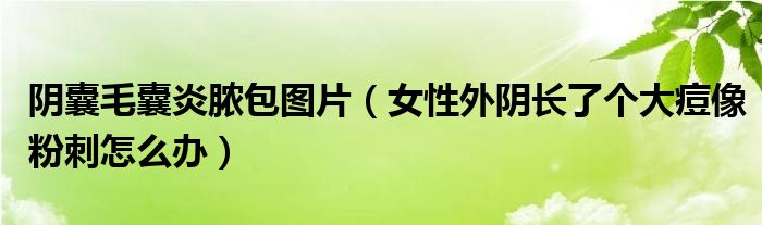 陰囊毛囊炎膿包圖片（女性外陰長了個大痘像粉刺怎么辦）