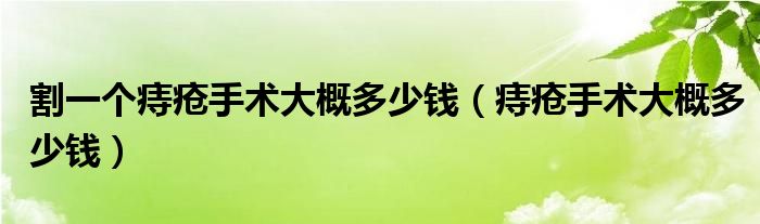 割一個痔瘡手術(shù)大概多少錢(痔瘡手術(shù)大概多少錢)