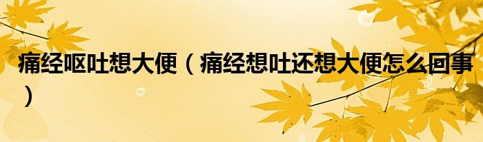 痛經(jīng)嘔吐想大便(痛經(jīng)想吐還想大便怎么回事)