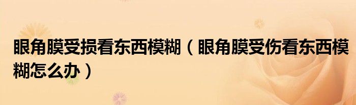 眼角膜受損看東西模糊(眼角膜受傷看東西模糊怎么辦)