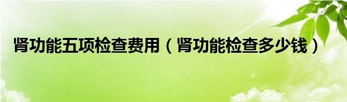 腎功能五項(xiàng)檢查費(fèi)用（腎功能檢查多少錢(qián)）