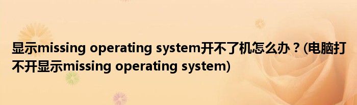 顯示missing operating system開不了機(jī)怎么辦？(電腦打不開顯示missing operating system)