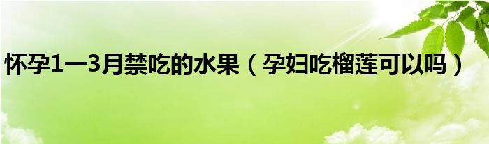 懷孕1一3月禁吃的水果(孕婦吃榴蓮可以嗎)