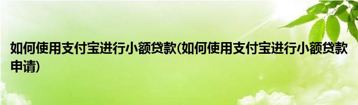 如何使用支付寶進(jìn)行小額貸款(如何使用支付寶進(jìn)行小額貸款申請)