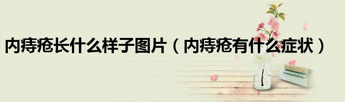 內(nèi)痔瘡長什么樣子圖片（內(nèi)痔瘡有什么癥狀）