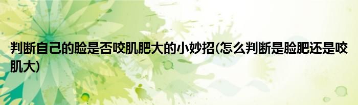 判斷自己的臉是否咬肌肥大的小妙招(怎么判斷是臉肥還是咬肌大)