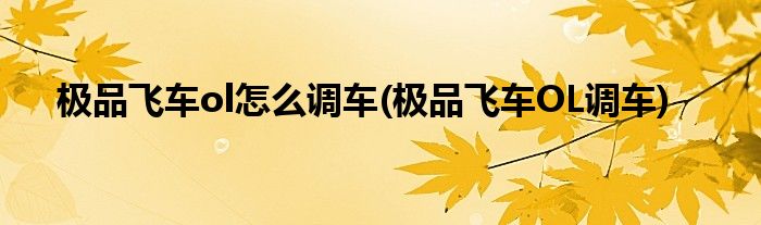 極品飛車ol怎么調(diào)車(極品飛車OL調(diào)車)