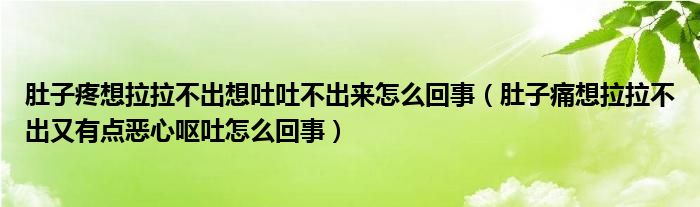 肚子疼想拉拉不出想吐吐不出來(lái)怎么回事（肚子痛想拉拉不出又有點(diǎn)惡心嘔吐怎么回事）