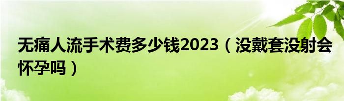 無痛人流手術(shù)費(fèi)多少錢2023(沒戴套沒射會(huì)懷孕嗎)