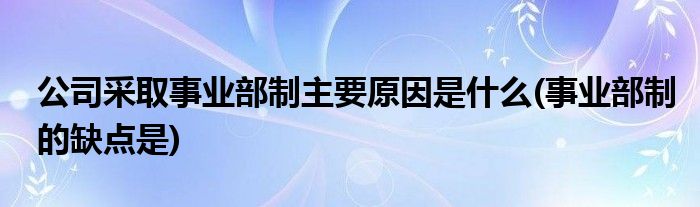 公司采取事業(yè)部制主要原因是什么(事業(yè)部制的缺點(diǎn)是)
