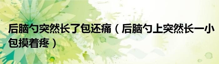 后腦勺突然長了包還痛（后腦勺上突然長一小包摸著疼）