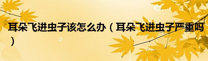 耳朵飛進蟲子該怎么辦（耳朵飛進蟲子嚴重嗎）