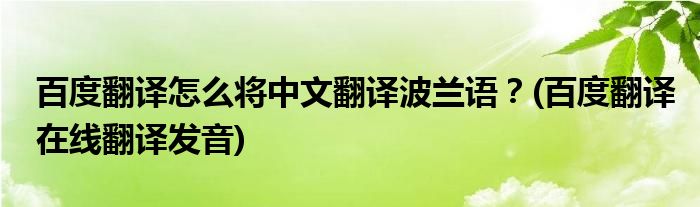 百度翻譯怎么將中文翻譯波蘭語？(百度翻譯在線翻譯發(fā)音)