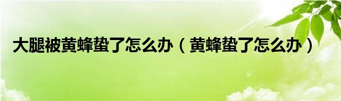 大腿被黃蜂蟄了怎么辦（黃蜂蟄了怎么辦）