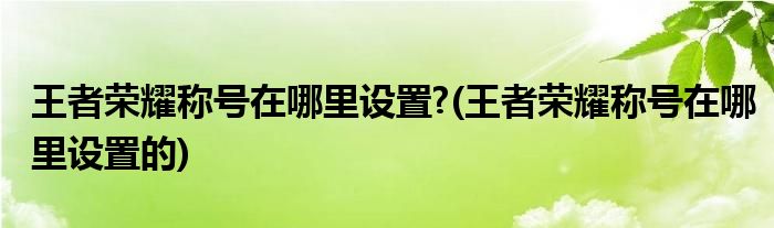 王者榮耀稱號在哪里設(shè)置?(王者榮耀稱號在哪里設(shè)置的)