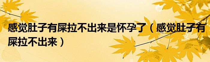 感覺肚子有屎拉不出來是懷孕了（感覺肚子有屎拉不出來）