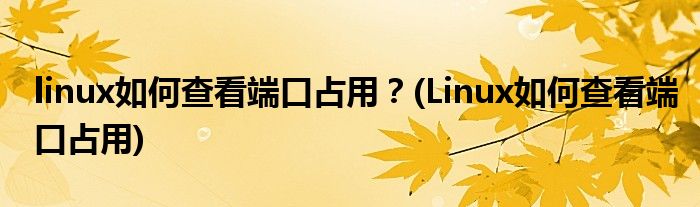 linux如何查看端口占用？(Linux如何查看端口占用)