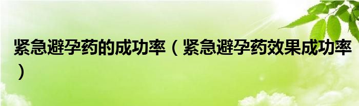 緊急避孕藥的成功率（緊急避孕藥效果成功率）