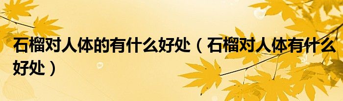 石榴對(duì)人體的有什么好處(石榴對(duì)人體有什么好處)