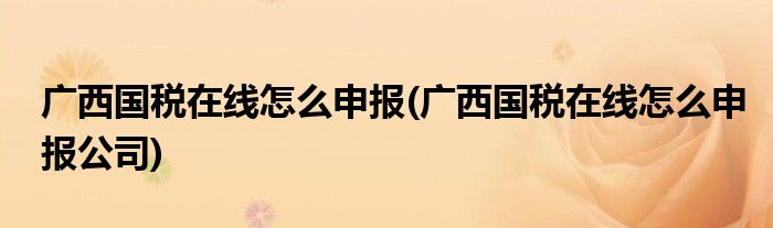 廣西國稅在線怎么申報(廣西國稅在線怎么申報公司)