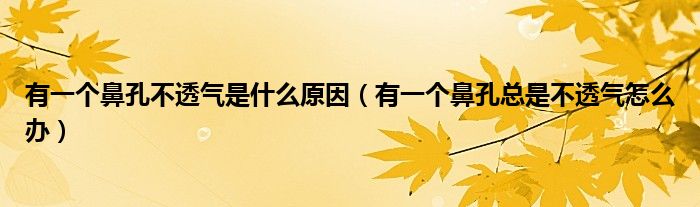 有一個(gè)鼻孔不透氣是什么原因（有一個(gè)鼻孔總是不透氣怎么辦）