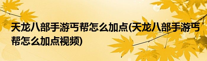 天龍八部手游丐幫怎么加點(diǎn)(天龍八部手游丐幫怎么加點(diǎn)視頻)