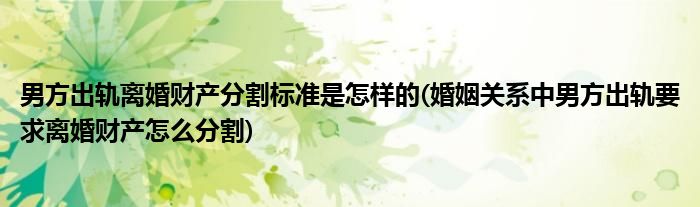 男方出軌離婚財產(chǎn)分割標(biāo)準(zhǔn)是怎樣的(婚姻關(guān)系中男方出軌要求離婚財產(chǎn)怎么分割)