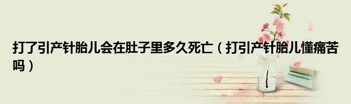 打了引產(chǎn)針胎兒會(huì)在肚子里多久死亡（打引產(chǎn)針胎兒懂痛苦嗎）