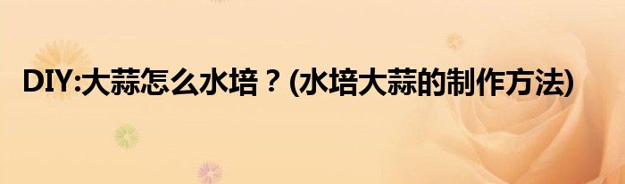 DIY:大蒜怎么水培？(水培大蒜的制作方法)