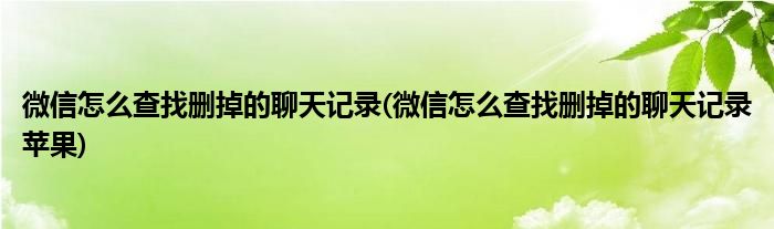 微信怎么查找刪掉的聊天記錄(微信怎么查找刪掉的聊天記錄蘋果)