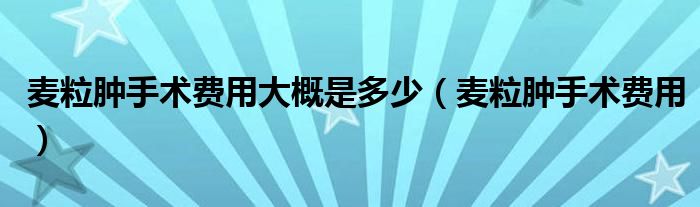 麥粒腫手術(shù)費(fèi)用大概是多少（麥粒腫手術(shù)費(fèi)用）