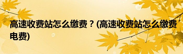 高速收費(fèi)站怎么繳費(fèi)？(高速收費(fèi)站怎么繳費(fèi)電費(fèi))