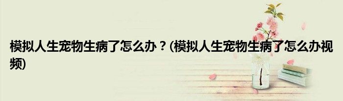 模擬人生寵物生病了怎么辦？(模擬人生寵物生病了怎么辦視頻)