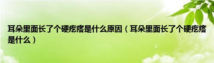 耳朵里面長(zhǎng)了個(gè)硬疙瘩是什么原因(耳朵里面長(zhǎng)了個(gè)硬疙瘩是什么)