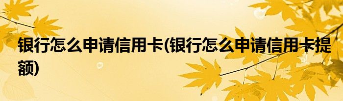 銀行怎么申請(qǐng)信用卡(銀行怎么申請(qǐng)信用卡提額)