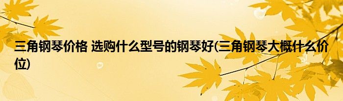 三角鋼琴價(jià)格 選購(gòu)什么型號(hào)的鋼琴好(三角鋼琴大概什么價(jià)位)