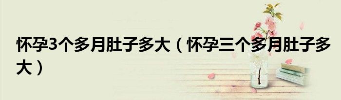 懷孕3個多月肚子多大（懷孕三個多月肚子多大）