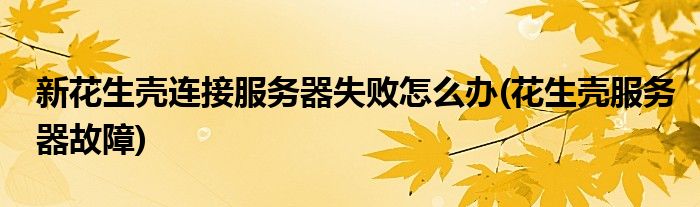 新花生殼連接服務(wù)器失敗怎么辦(花生殼服務(wù)器故障)