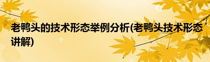 老鴨頭的技術形態(tài)舉例分析(老鴨頭技術形態(tài)講解)