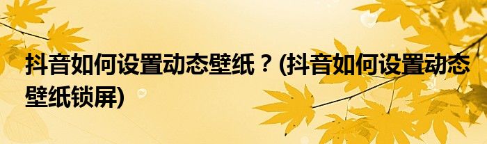 抖音如何設(shè)置動(dòng)態(tài)壁紙？(抖音如何設(shè)置動(dòng)態(tài)壁紙鎖屏)