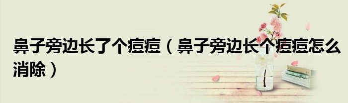鼻子旁邊長了個(gè)痘痘（鼻子旁邊長個(gè)痘痘怎么消除）