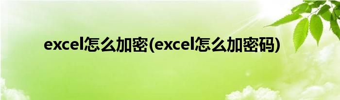 excel怎么加密(excel怎么加密碼)