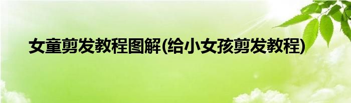 女童剪發(fā)教程圖解(給小女孩剪發(fā)教程)