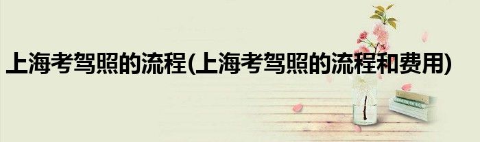 上?？捡{照的流程(上?？捡{照的流程和費用)
