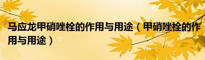馬應(yīng)龍甲硝唑栓的作用與用途（甲硝唑栓的作用與用途）
