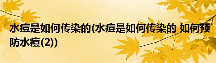 水痘是如何傳染的(水痘是如何傳染的 如何預(yù)防水痘(2))