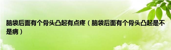 腦袋后面有個(gè)骨頭凸起有點(diǎn)疼（腦袋后面有個(gè)骨頭凸起是不是病）